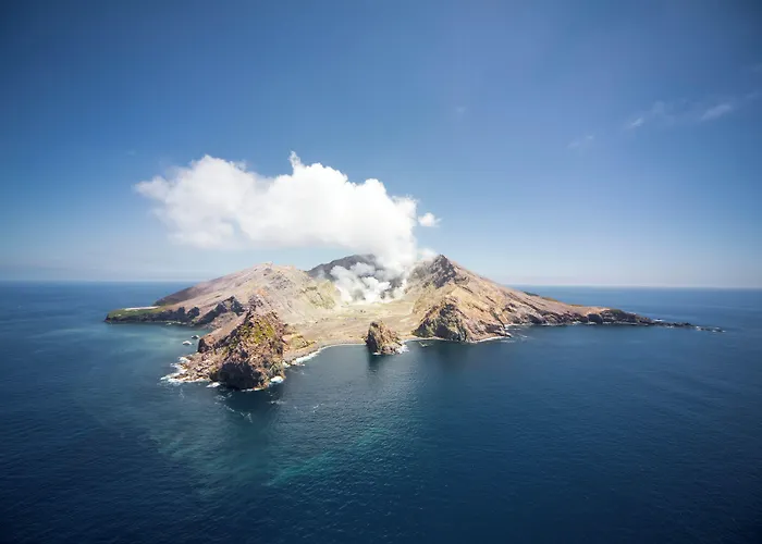 独行者旅社 山林小屋 罗托鲁阿