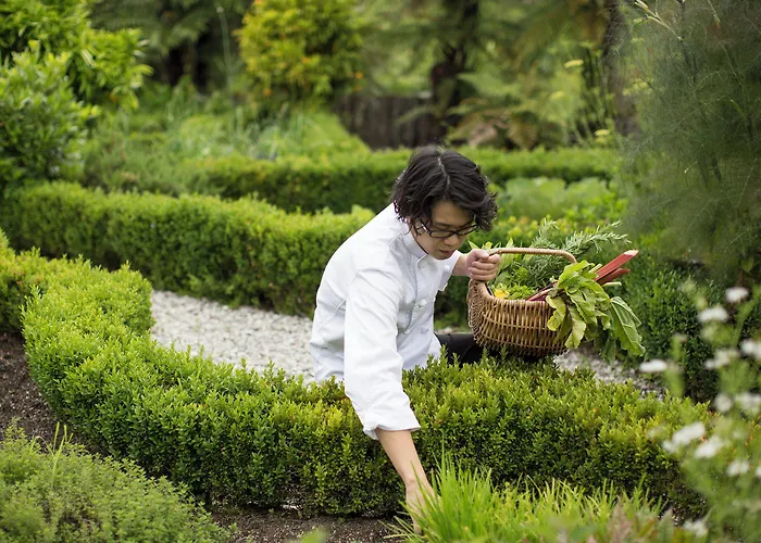 独行者旅社 山林小屋